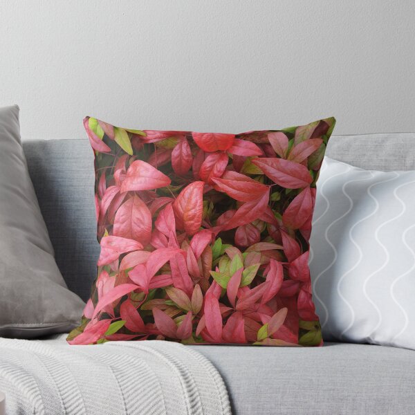 Item preview, Nandina domestica 'Nana' designed and sold by Amy Akers.