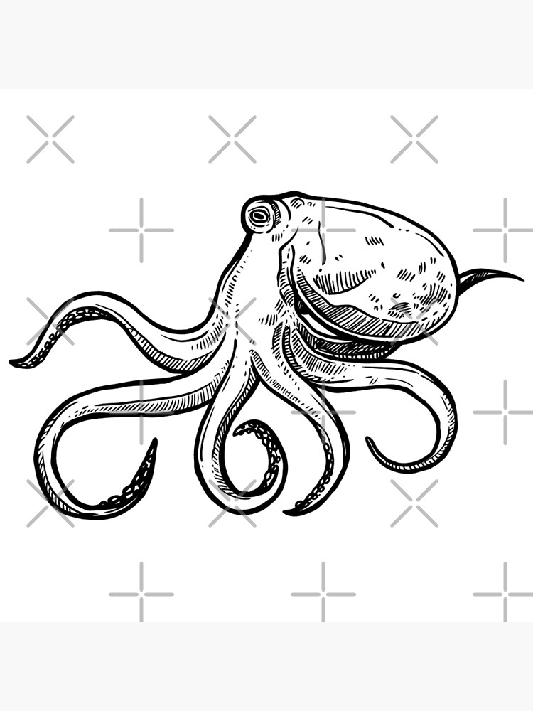 Angry Octopus Poster For Sale By Treasure Crafts Redbubble 9231