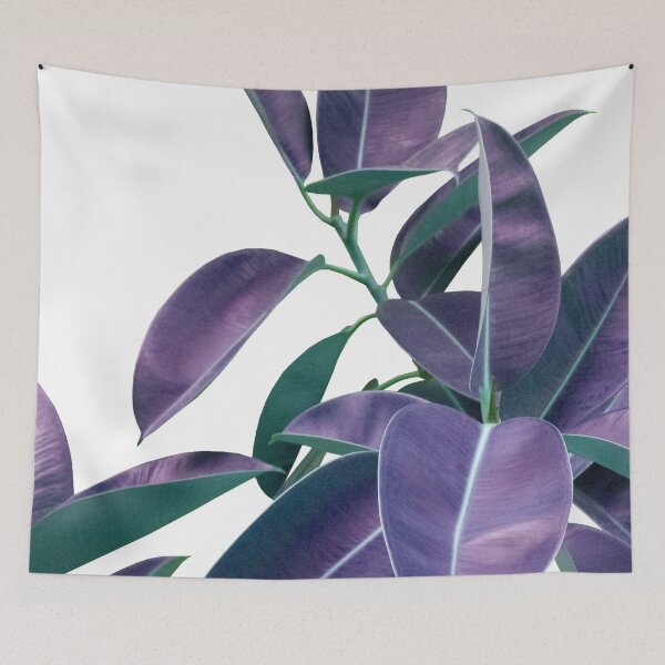 Item preview, Ficus Elastica Violet Green Glam #1 #tropical #decor #art designed and sold by Anita's & Bella's Art.