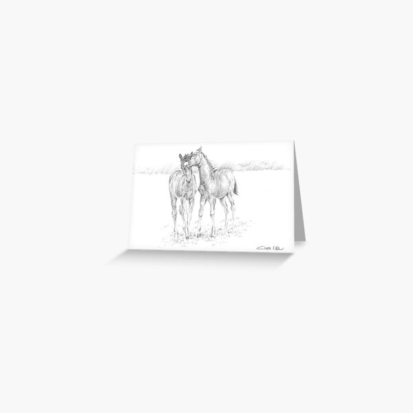Foals at Play 1 Greeting Card