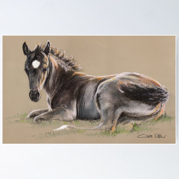 Item preview, Study in pastel of a New Forest Foal, warm evening sun reflecting off its coat. designed and sold by Claire Kitcher.