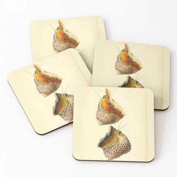 Item preview, Vintage Colorful Sea Snails Illustration designed and sold by citrusapple.