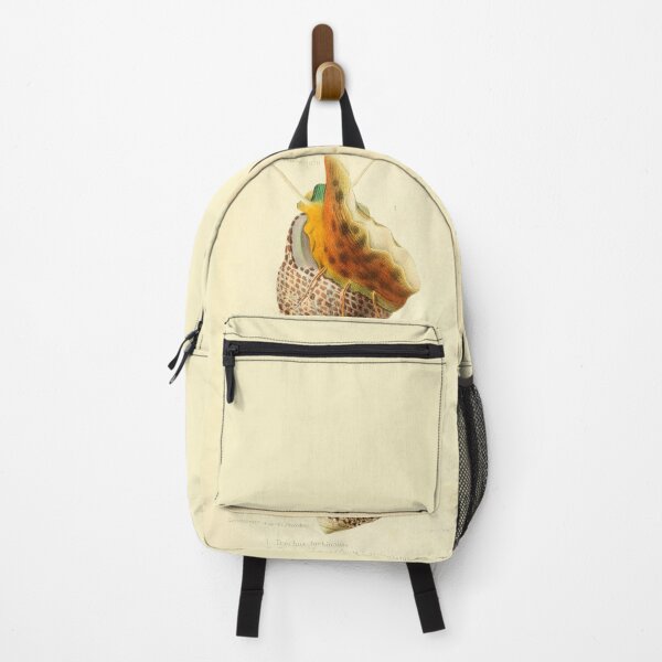 Item preview, Vintage Colorful Sea Snails Illustration designed and sold by citrusapple.