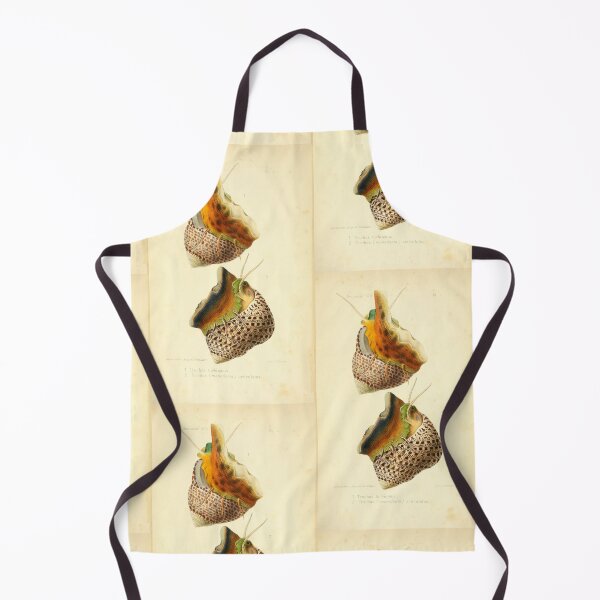 Item preview, Vintage Colorful Sea Snails Illustration designed and sold by citrusapple.