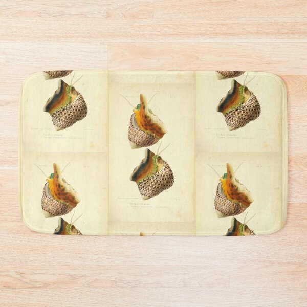 Item preview, Vintage Colorful Sea Snails Illustration designed and sold by citrusapple.