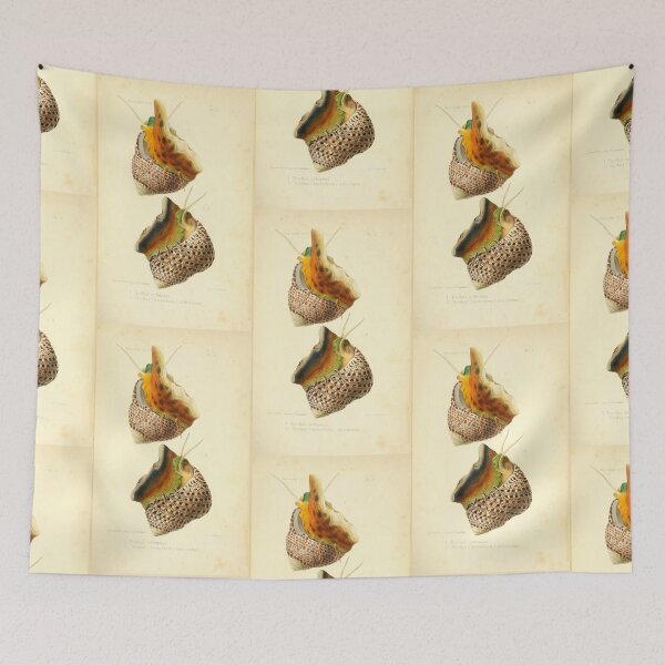 Item preview, Vintage Colorful Sea Snails Illustration designed and sold by citrusapple.