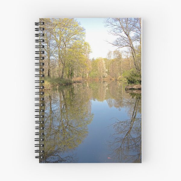 Item preview, Reflexion designed and sold by Babbler01.