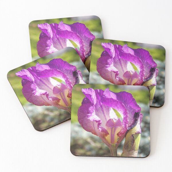 Item preview, iris designed and sold by Babbler01.