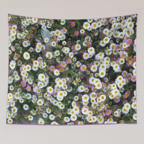 Item preview, Daisy Daisy designed and sold by Yampimon.