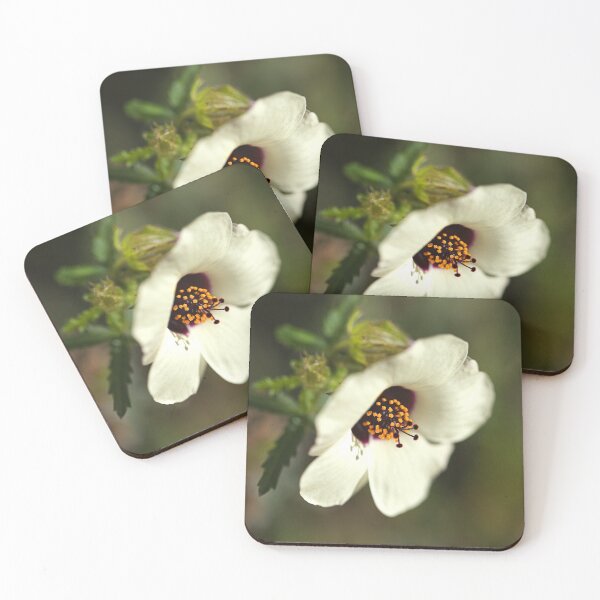 Item preview, Swamp Mallow White Hibiscus  designed and sold by Joy Watson - Natural Light Photography .
