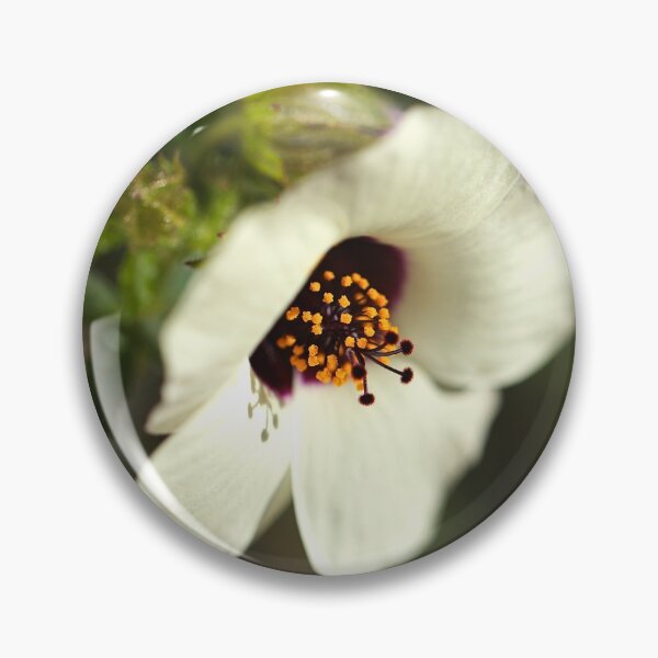 Item preview, Swamp Mallow White Hibiscus  designed and sold by Joy Watson - Natural Light Photography .
