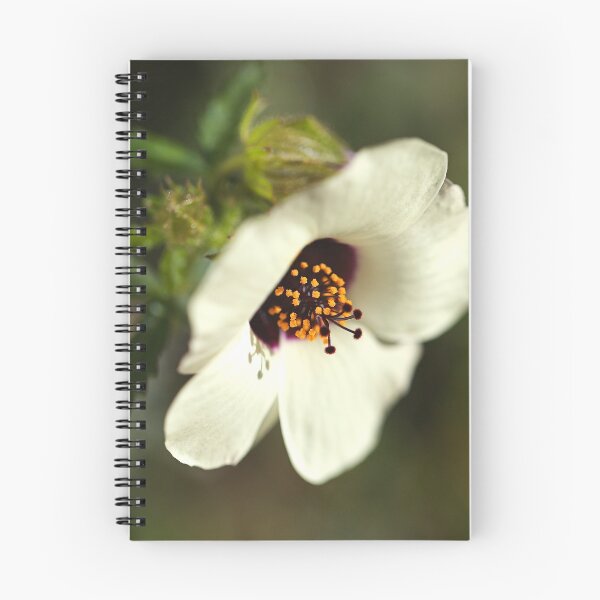 Item preview, Swamp Mallow White Hibiscus  designed and sold by Joy Watson - Natural Light Photography .