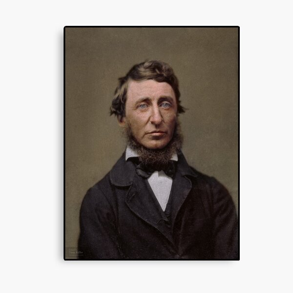 Item preview, Henry David Thoreau, 1856 designed and sold by Dana Keller.
