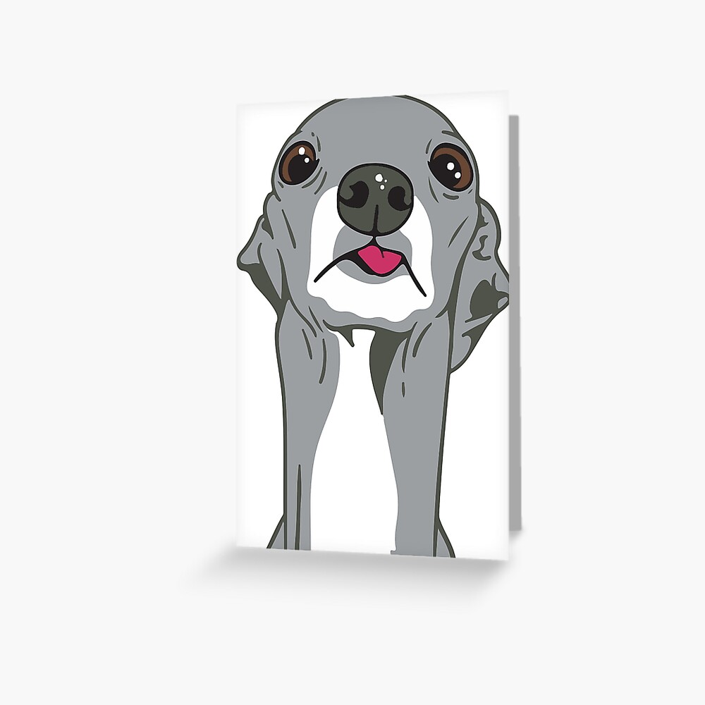 "Love It Couldnt Wear It Tika the Iggy" Greeting Card by ioncia Redbubble