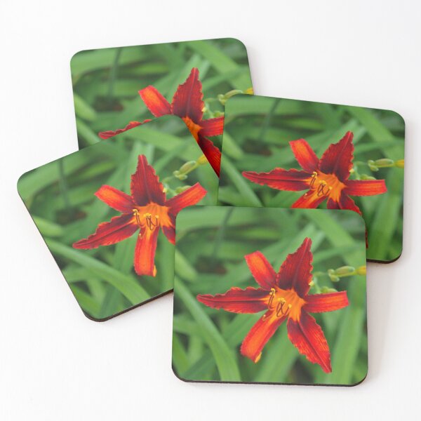 Item preview, Vivid Scarlet Beauty - One Boldly Colored Daylily Bloom designed and sold by Georgia Mizuleva.