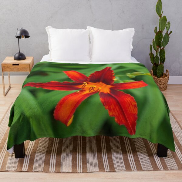 Item preview, Vivid Scarlet Beauty - One Boldly Colored Daylily Bloom designed and sold by Georgia Mizuleva.