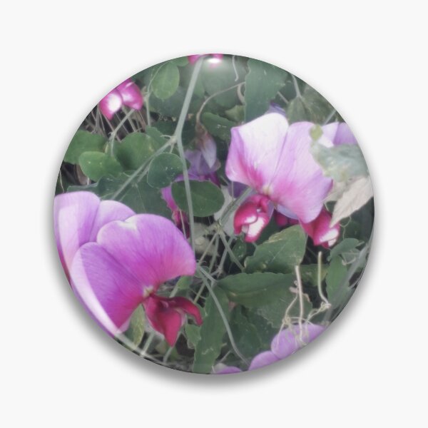 Item preview, KABFA Designs and Volksbolts, Vintage English Country Garden SweetPeas,  Flowers, flower, designed and sold by KABFA Designs.