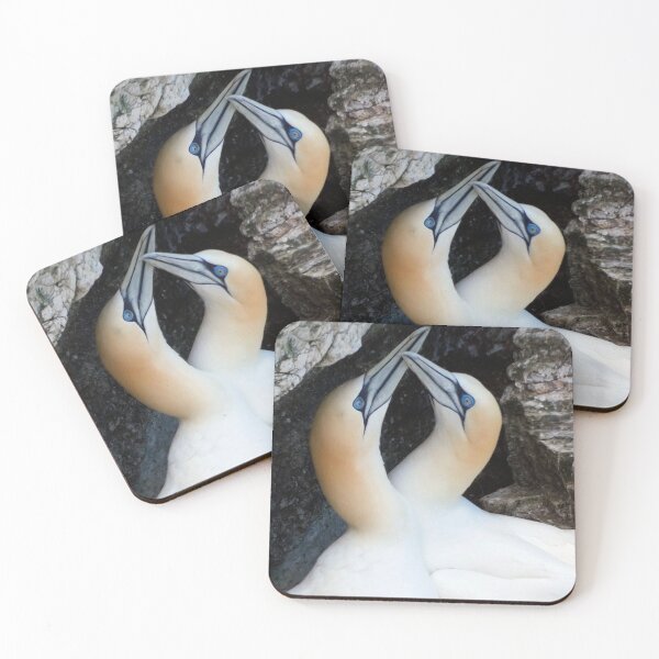 Item preview, Courting Gannets designed and sold by gruntpig.