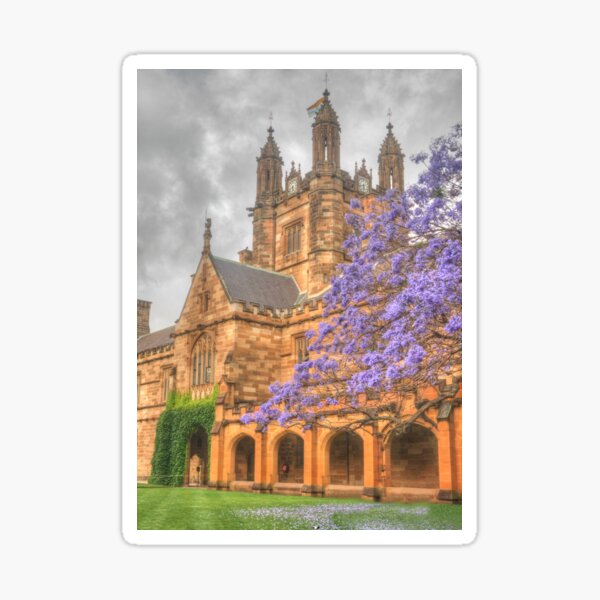 Jacaranda University Sticker