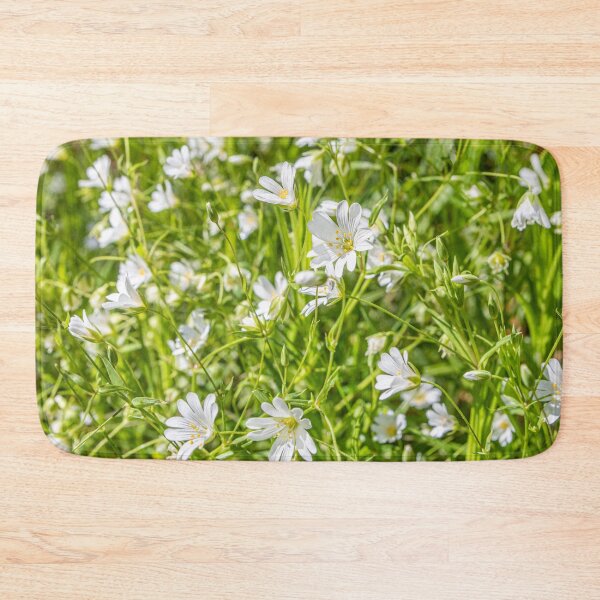 Item preview, White Anenomes designed and sold by Dave Hare Photography.