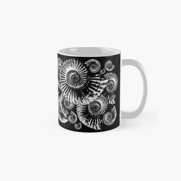 Artikel-Vorschau von Fossiler Ammonit, designt und verkauft von DiggerGifts4U.