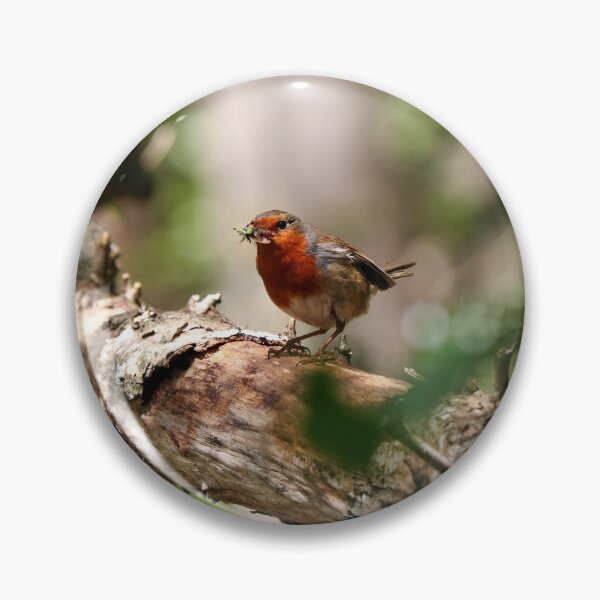 Item preview, Robin collecting insects designed and sold by GreyFeatherPhot.
