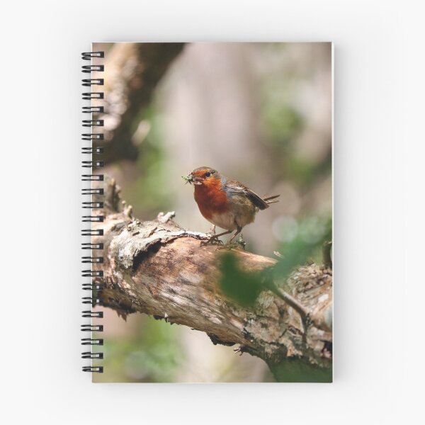 Item preview, Robin collecting insects designed and sold by GreyFeatherPhot.