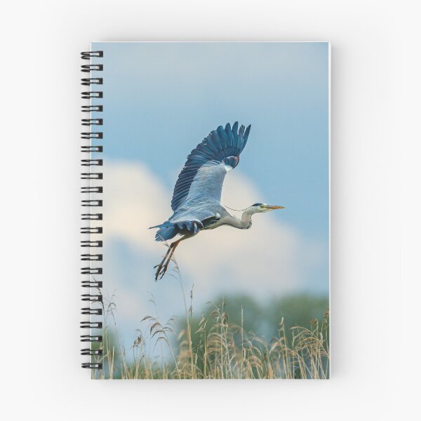 Item preview, Heron flying against a background of reeds designed and sold by Dalyndigital Photography.