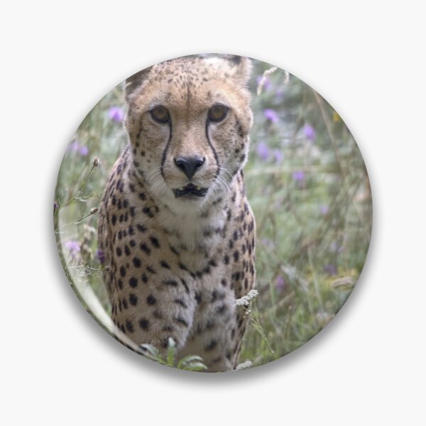 Item preview, Acinonyx jubatus designed and sold by Mythos57.