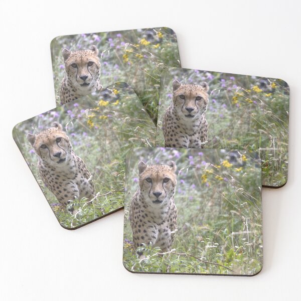 Item preview, Acinonyx jubatus designed and sold by Mythos57.