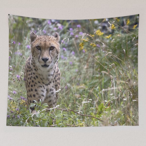 Item preview, Acinonyx jubatus designed and sold by Mythos57.
