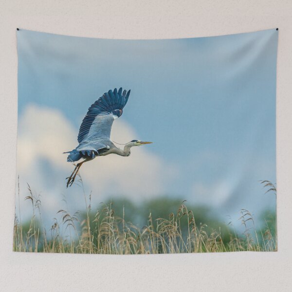 Item preview, Heron flying against a background of reeds designed and sold by Dalyndigital Photography.