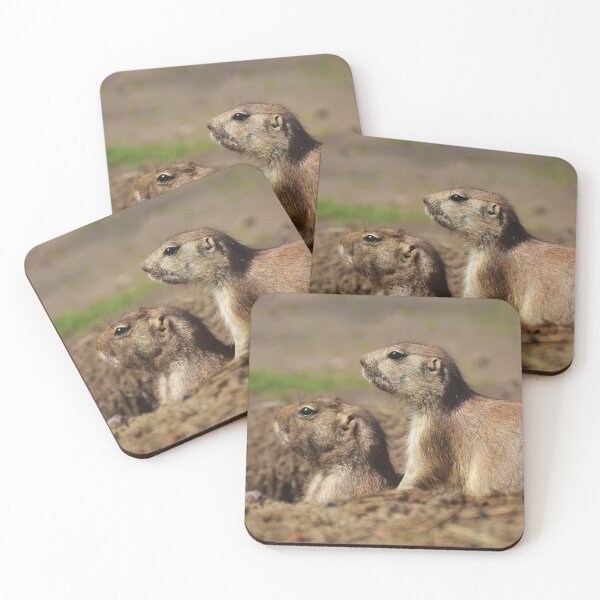 Item preview, Prairie dogs photograph designed and sold by Milanicole.