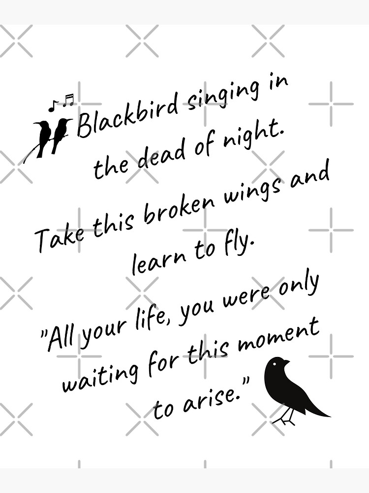 Blackbird Singing In The Dead Of Night Hippie T-Shirt Gift Blackbird Singing In The Dead Of Night Hippie T-Shirt Gift