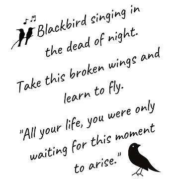 "Blackbird Singing In The Dead Of Night, Blackbird Beatles, Beatles