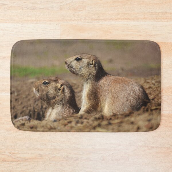 Item preview, Prairie dogs photograph designed and sold by Milanicole.