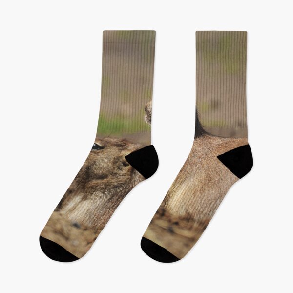 Item preview, Prairie dogs photograph designed and sold by Milanicole.