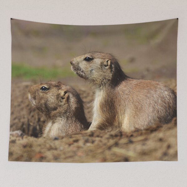 Item preview, Prairie dogs photograph designed and sold by Milanicole.