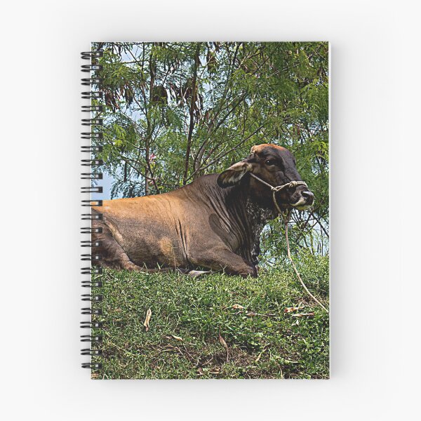 Item preview, That's A Load Of Bull designed and sold by alabca.