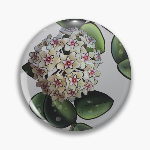 Item preview, Hoya mathilde in bloom designed and sold by Wieskunde.