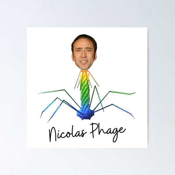 Nicolas Phage Bacteriophage Virus Poster