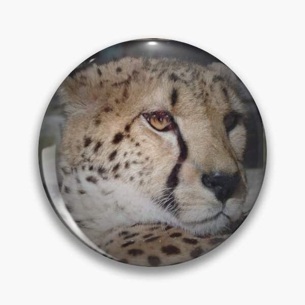 Item preview, GEPARD designed and sold by RachelMacht.