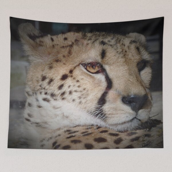 Item preview, GEPARD designed and sold by RachelMacht.