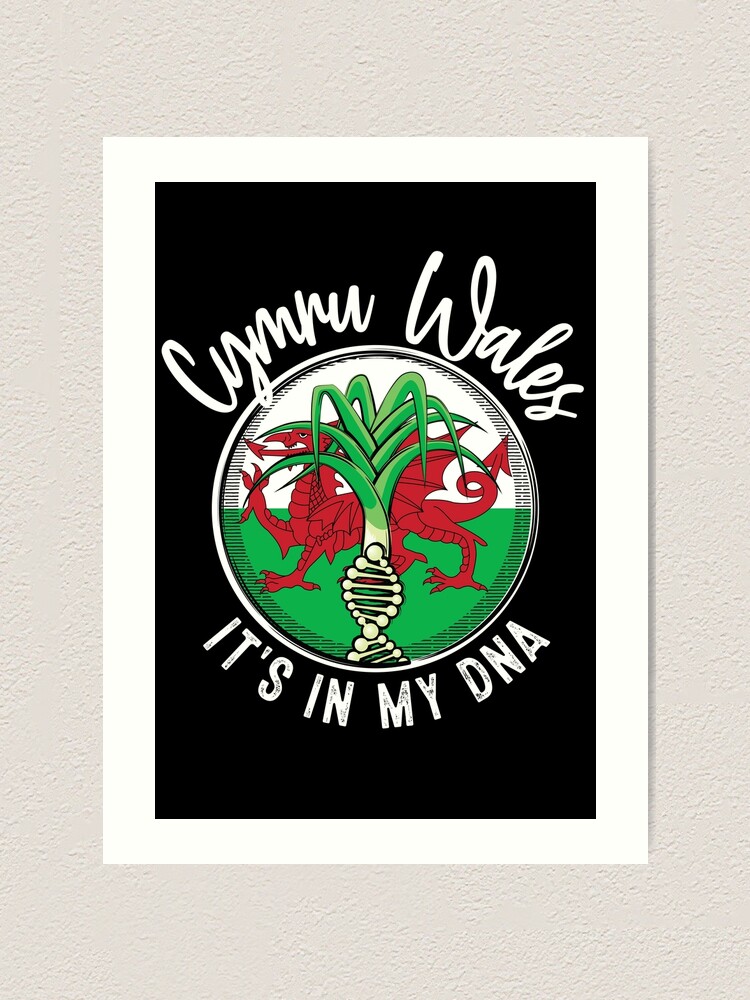 Wales It's In My Dna Welsh Flag T-Shirt