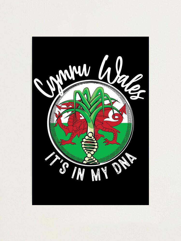 Wales It's In My Dna Welsh Flag T-Shirt