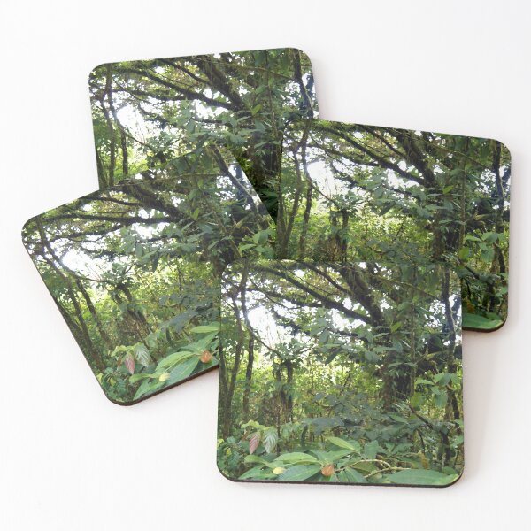 Item preview, Tropical Rainforest, Broad Green Leaves, Costa Rica designed and sold by ACC .