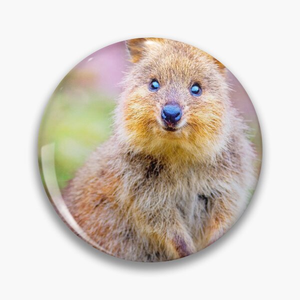 Item preview, Smiling Quokka designed and sold by cschester4.