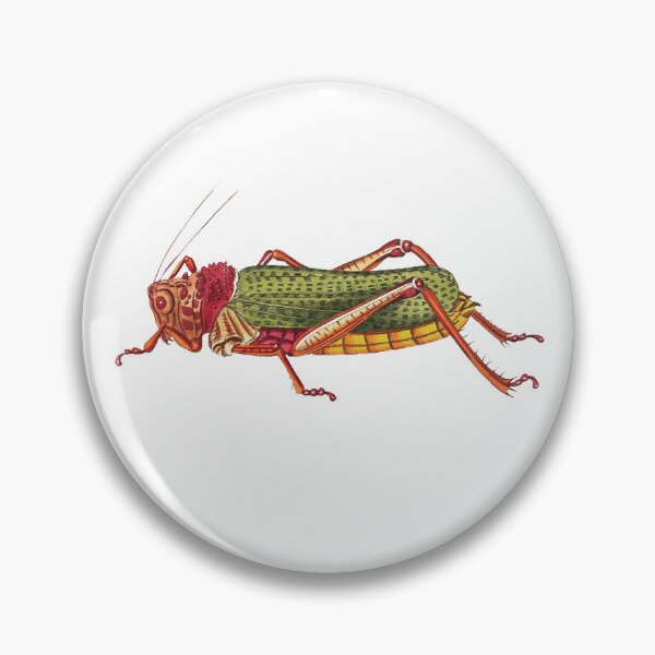 Item preview, Vintage illustrations of insects:  Bug me - Number 1 designed and sold by CoolVintageArt.