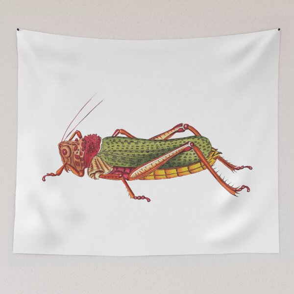 Item preview, Vintage illustrations of insects:  Bug me - Number 1 designed and sold by CoolVintageArt.