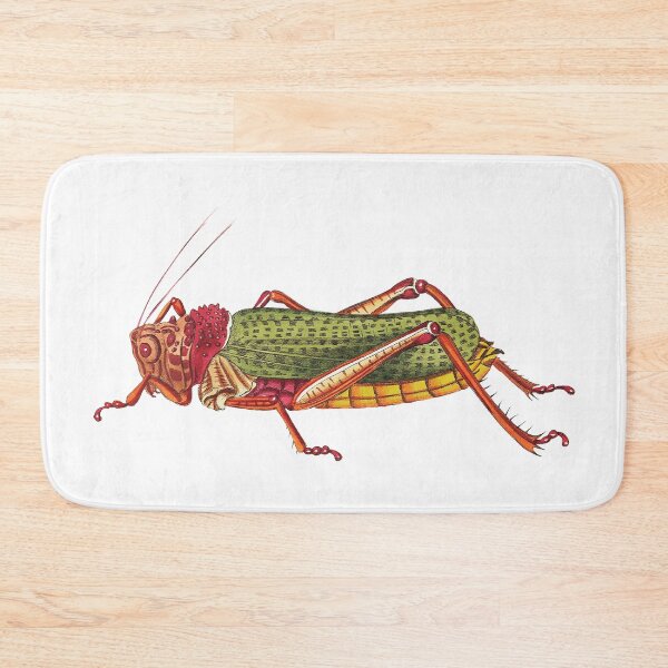 Item preview, Vintage illustrations of insects:  Bug me - Number 1 designed and sold by CoolVintageArt.